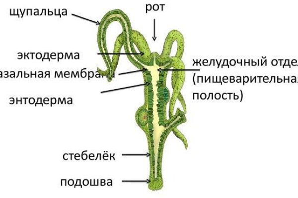 Даркнет москва